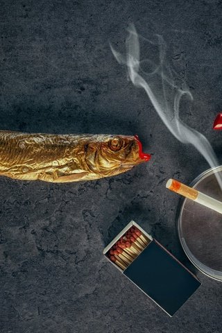 Обои дым, юмор, спички, помада, сигарета, рыба, красная помада, smoke, humor, matches, lipstick, cigarette, fish, red lipstick разрешение 2560x1698 Загрузить