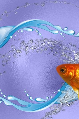 Обои вода, золотая рыбка, рыба, ааа, еееее, water, goldfish, fish разрешение 1920x1080 Загрузить