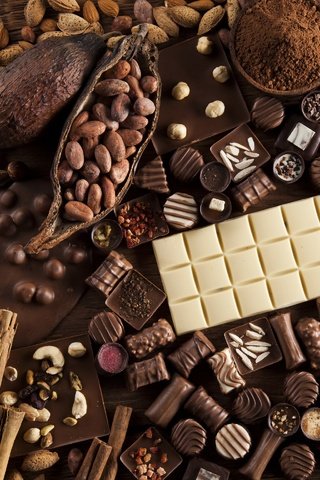 Обои шоколадные конфеты, орехи, ассортимент, корица, шоколад какао, конфеты, шоколад, сладкое, миндаль, пряности, ассорти, chocolates, nuts, range, cinnamon, chocolate cocoa, candy, chocolate, sweet, almonds, spices, cuts разрешение 2880x1920 Загрузить