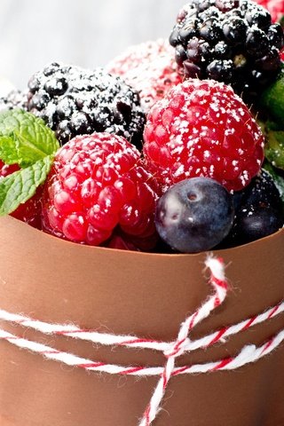 Обои мята, малина, ягоды, черника, десерт, сахарная пудра, ежевика, mint, raspberry, berries, blueberries, dessert, powdered sugar, blackberry разрешение 2560x1600 Загрузить