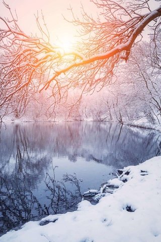 Обои деревья, река, снег, закат, зима, отражение, ветки, trees, river, snow, sunset, winter, reflection, branches разрешение 1920x1200 Загрузить