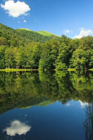 Обои небо, облака, озеро, природа, лес, отражение, the sky, clouds, lake, nature, forest, reflection разрешение 1920x1200 Загрузить