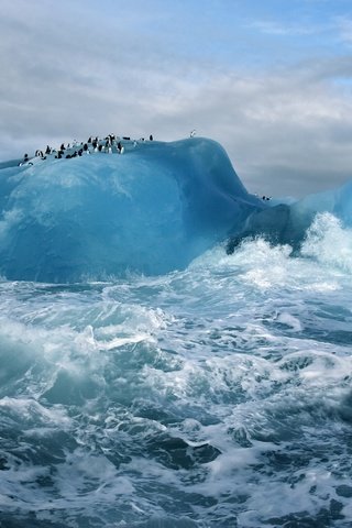 Обои океан, антарктида, пингвины, ледник, the ocean, antarctica, penguins, glacier разрешение 3200x2000 Загрузить