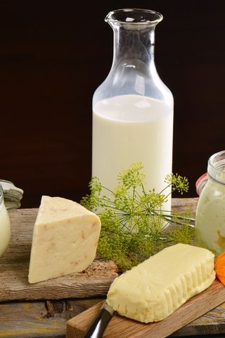 Обои цветок, сыр, масло, молоко, укроп, сметана, творог, молочные продукты, flower, cheese, oil, milk, dill, sour cream, dairy products разрешение 2500x1787 Загрузить