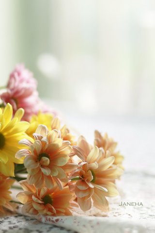 Обои цветы, размытость, букет, хризантемы, flowers, blur, bouquet, chrysanthemum разрешение 2560x1600 Загрузить