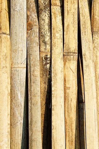 Обои текстура, стена, бамбук, древесина, texture, wall, bamboo, wood разрешение 2848x2136 Загрузить