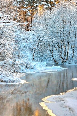 Обои деревья, река, снег, природа, лес, зима, ветки, trees, river, snow, nature, forest, winter, branches разрешение 2560x1600 Загрузить