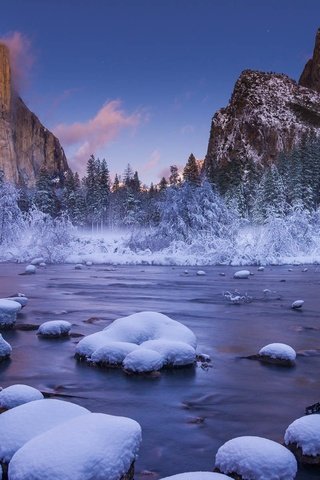 Обои деревья, река, горы, скалы, снег, природа, лес, зима, trees, river, mountains, rocks, snow, nature, forest, winter разрешение 1920x1200 Загрузить