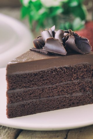 Обои шоколад, тарелка, торт, 28, кусок торта, chocolate, plate, cake, piece of cake разрешение 5184x3456 Загрузить