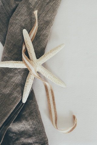 Обои ткань, ленточка, морская звезда, сукно, fabric, ribbon, starfish, cloth разрешение 3855x3084 Загрузить