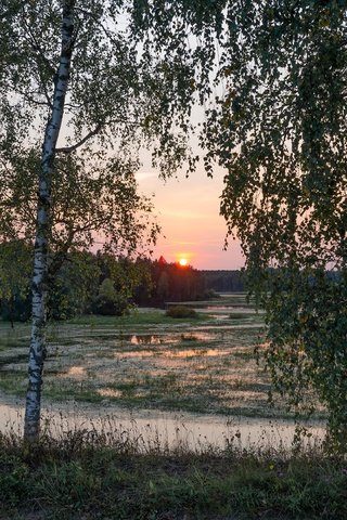 Обои деревья, река, природа, закат, пейзаж, леса, trees, river, nature, sunset, landscape, forest разрешение 2278x1520 Загрузить