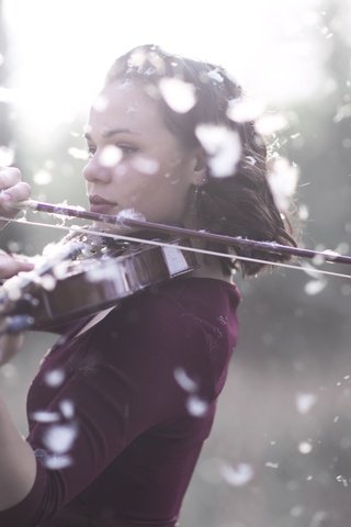 Обои девушка, скрипка, музыка, girl, violin, music разрешение 4972x3147 Загрузить