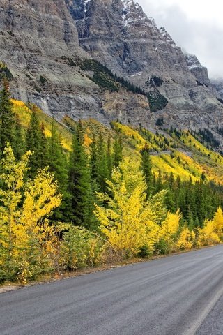 Обои дорога, горы, осень, road, mountains, autumn разрешение 3840x2160 Загрузить