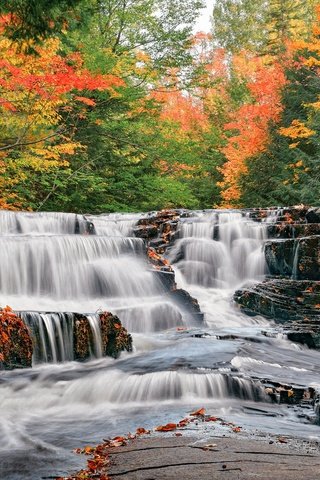 Обои река, лес, осень, водопады, каскад, мичиган, river, forest, autumn, waterfalls, cascade, michigan разрешение 2048x1365 Загрузить