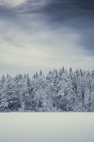 Обои снег, зима, поле, snow, winter, field разрешение 2048x1152 Загрузить