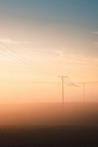 Обои туман, поле, лэп, fog, field, power lines разрешение 3840x2160 Загрузить