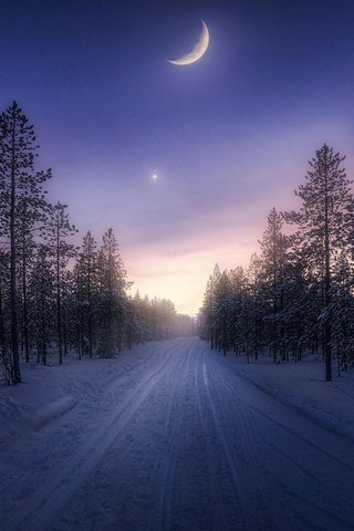 Обои небо, дорога, деревья, снег, лес, зима, месяц, the sky, road, trees, snow, forest, winter, a month разрешение 2200x1238 Загрузить