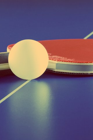 Обои настольный теннис, пинг-понг, table tennis, ping-pong разрешение 3456x2028 Загрузить