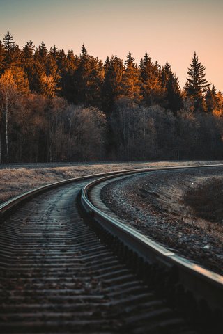 Обои железная дорога, рельсы, лес, осень, railroad, rails, forest, autumn разрешение 3840x2400 Загрузить