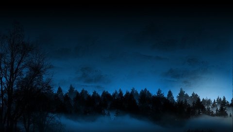 Обои ночь, лес, туман, night, forest, fog разрешение 1920x1200 Загрузить