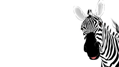 Обои абстракция, зебра, полоски, abstraction, zebra, strips разрешение 1920x1200 Загрузить