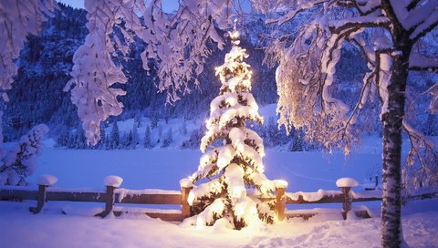 Обои огни, снег, елка, зима, lights, snow, tree, winter разрешение 1992x1333 Загрузить