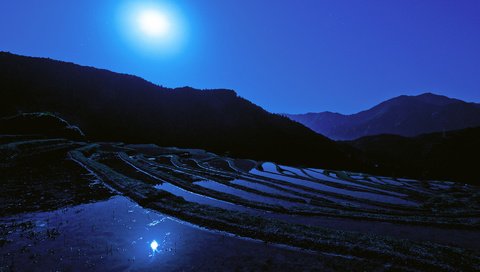 Обои ночь, луна, япония, японии, moon, рисовое поле, night, the moon, japan, rice field разрешение 1920x1080 Загрузить