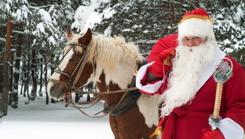 Обои лошадь, новый год, лес, зима, дед мороз, праздник, великий устюг, horse, new year, forest, winter, santa claus, holiday, veliky ustyug разрешение 1920x1200 Загрузить