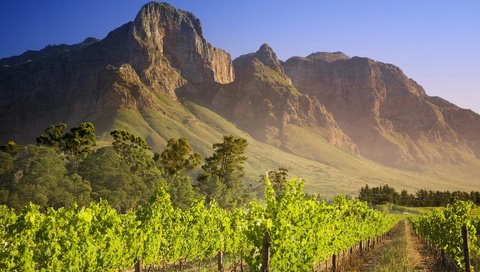 Обои дорога, горы, природа, виноградник, road, mountains, nature, vineyard разрешение 1920x1200 Загрузить