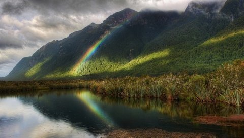 Обои деревья, радуга, водоем, дождь, trees, rainbow, pond, rain разрешение 2560x1600 Загрузить