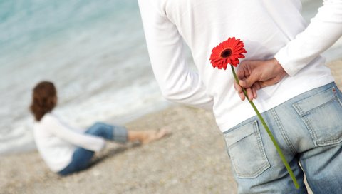 Обои цветок, пляж, любовь, романтика, пара, flower, beach, love, romance, pair разрешение 3276x2336 Загрузить