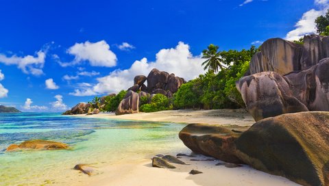 Обои камни, пляж, пальмы, сейшелы, stones, beach, palm trees, seychelles разрешение 4246x2827 Загрузить