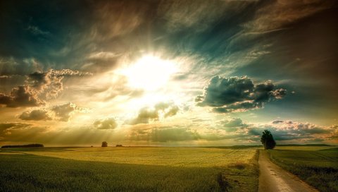 Обои поле, небо, рассвет, свет, равнина, дорога, трава, зеленая, облака, солнце, дерево, лучи, field, the sky, dawn, light, plain, road, grass, green, clouds, the sun, tree, rays разрешение 1920x1200 Загрузить