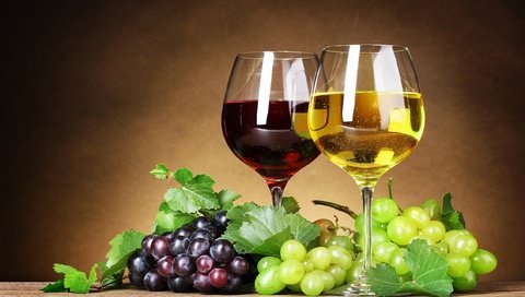 Обои виноград, вино, бокалы, бокалы с вином и виноград, grapes, wine, glasses, glasses with wine and grapes разрешение 2560x1440 Загрузить