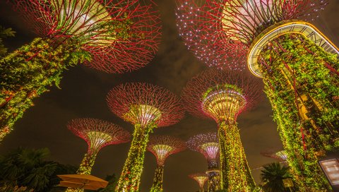 Обои ночь, огни, парк, сад, подсветка, сингапур, marina bay sands, марина бей, marina bay gardens, night, lights, park, garden, backlight, singapore, marina bay разрешение 1920x1200 Загрузить