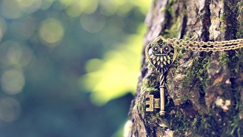 Обои сова, дерево, ключ, металлический, цепочка, подвеска, owl, tree, key, metal, chain, suspension разрешение 1920x1200 Загрузить