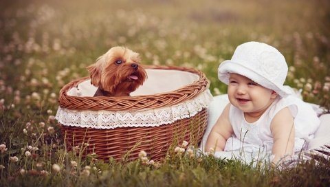 Обои собака, девочка, корзина, ребенок, dog, girl, basket, child разрешение 2000x1306 Загрузить