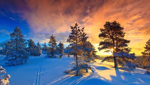 Обои небо, норвегия, облака, деревья, солнце, природа, лес, закат, зима, the sky, norway, clouds, trees, the sun, nature, forest, sunset, winter разрешение 2048x1152 Загрузить