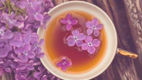 Обои цветы, настроение, кружка, чай, сирень, flowers, mood, mug, tea, lilac разрешение 1920x1200 Загрузить