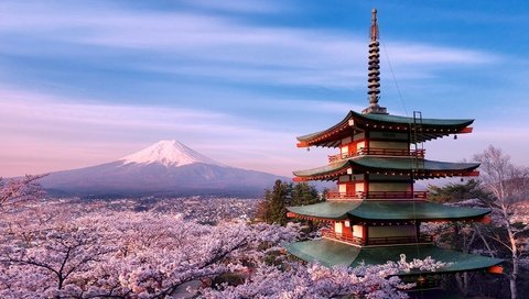 Обои пагода, япония, сакура, вулкан фудзияма, pagoda, japan, sakura, the fuji volcano разрешение 2880x1970 Загрузить