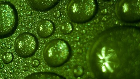 Обои вода, зелёный, фон, капли, water, green, background, drops разрешение 2560x1600 Загрузить