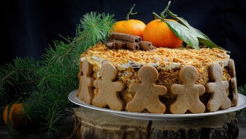 Обои корица, человечки, ель, печенье, торт, мандарины, медовик, cinnamon, men, spruce, cookies, cake, tangerines, honey разрешение 2018x1286 Загрузить