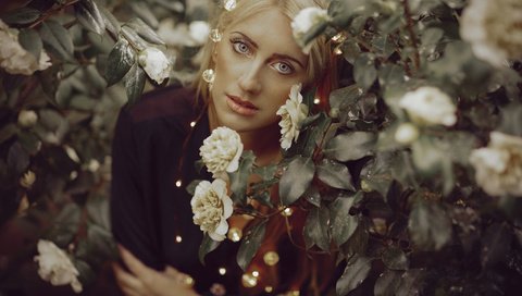 Обои глаза, цветы, девушка, фон, лето, волосы, лицо, eyes, flowers, girl, background, summer, hair, face разрешение 2048x1365 Загрузить