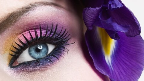Обои глаза, синий, цветок, лицо, макияж, eyes, blue, flower, face, makeup разрешение 6104x3396 Загрузить