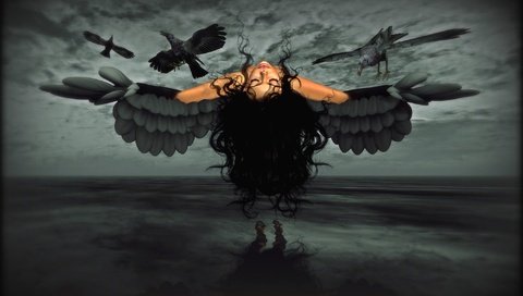 Обои девушка, крылья, вороны, girl, wings, crows разрешение 2048x1229 Загрузить