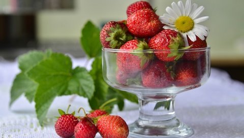 Обои клубника, красный, ромашка, ягоды, вазочка, strawberry, red, daisy, berries, vase разрешение 3300x2145 Загрузить