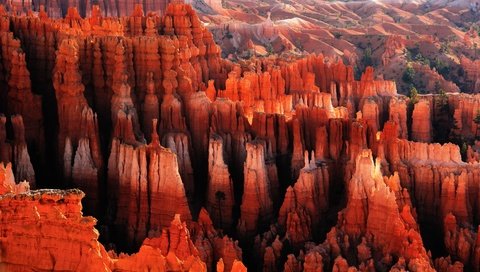 Обои скалы, рассвет, каньон, сша, юта, брайс-каньон, национальный парк, red city, rocks, dawn, canyon, usa, utah, bryce canyon, national park разрешение 2500x1664 Загрузить