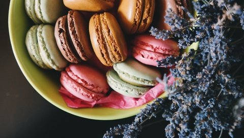 Обои цветы, лаванда, печенье, макарун, макаруны, flowers, lavender, cookies, macaron, macaroon разрешение 1920x1280 Загрузить