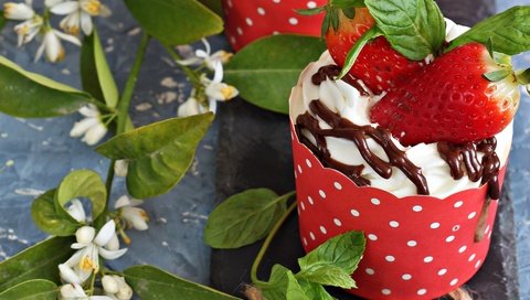 Обои мята, ягода, мороженое, клубника, шоколад, десерт, крем, mint, berry, ice cream, strawberry, chocolate, dessert, cream разрешение 2400x1595 Загрузить