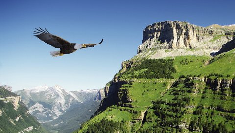 Обои горы, полет, орел, птица, долина, испания, белоголовый орлан, mountains, flight, eagle, bird, valley, spain, bald eagle разрешение 2880x1800 Загрузить